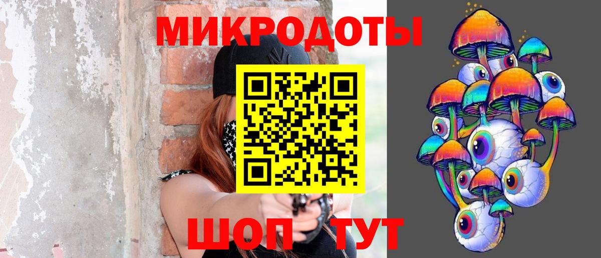 Галлюциногенные грибы Psilocybine cubensis Можайск